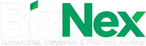 BizNex Consulting